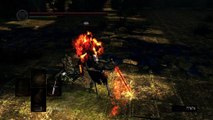Dark Souls: Soldat Carcasse [26] Alerte Amber
