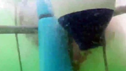 Dev köpekbalığı dalış kafesine saldırdı