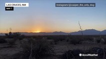 Spring sun rises over a New Mexico desert