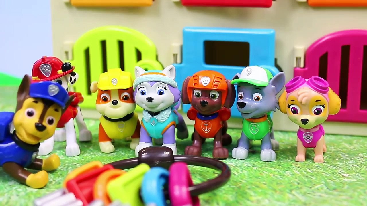 Paw Patrol Hunt And Rescue At The Critter Clinic | Toysreviewtoys | Kids Toys