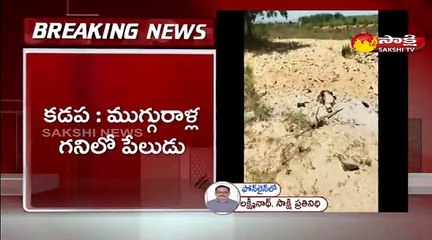 ముగ్గురాయి గనుల్లో పేలుడు: 5 మంది మృతి
