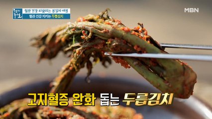 천연 계면활성제' 사포닌 가득! 향긋한 봄내음 솔솔~ '두릅' 김치
