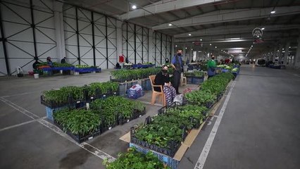 Trakya'da halk pazarları Kovid-19 tedbirlerine uyularak açıldı