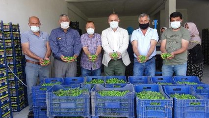 PAPAZ ERİĞİ ÜRETİCİSİNİN YÜZÜ GÜLÜYOR