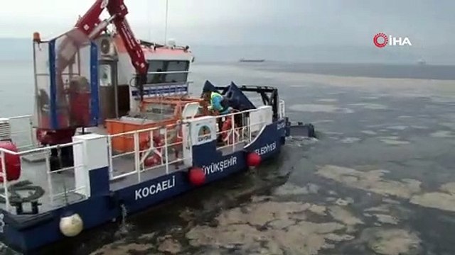 38 günde 100 ton deniz salyası toplandı