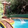 Des singes sautent dans une piscine