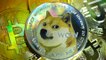 Dogecoin Soars Past 70 Cents To Record High After Elon Musk SNL Tease