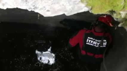 Fethiye'de kuyuya düşen keçiyi itfaiye kurtardı