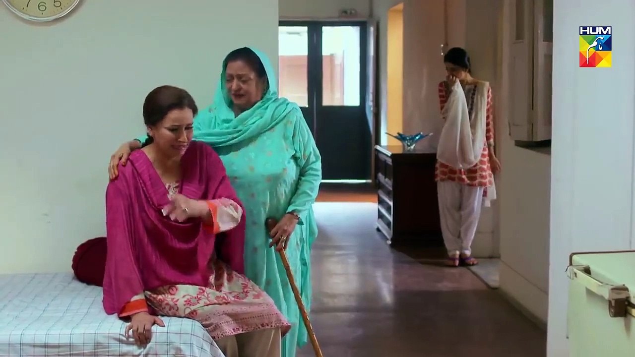 Ishq Tamasha Episode #19 HUM TV Drama 15 July 2018 l SK Movies