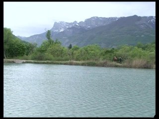 Flâneries autour des Etangs de Vif 38450