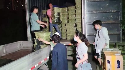China: Entsetzen über Überraschungs-Boxen mit Welpen