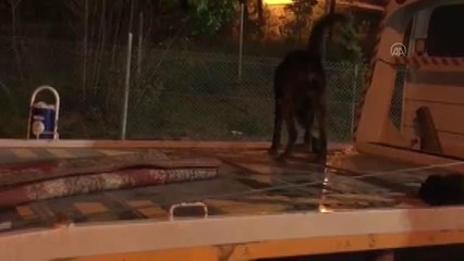 Durdurulan oto kurtarıcının akü kısmından uyuşturucu hap çıktı