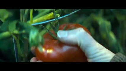 映画『RUN／ラン』母の日特別映像