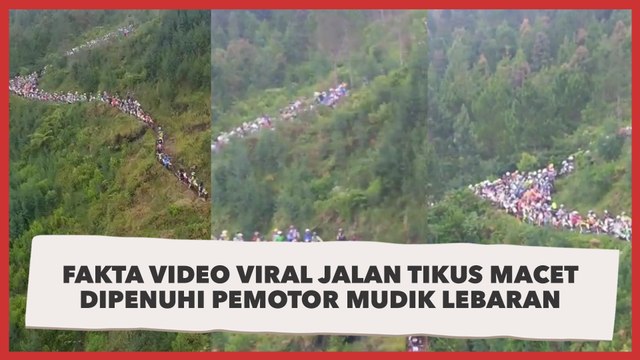 Fakta Video Viral Jalan Tikus Macet Dipenuhi Pemotor Mudik Lebaran