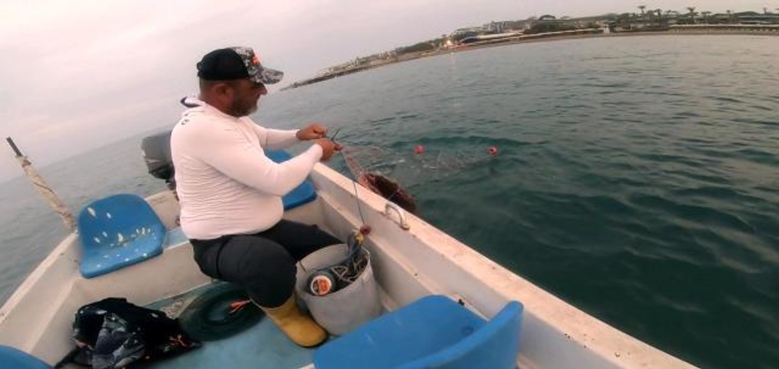 Amatör balıkçı, ağa takılan Caretta Caretta'yı 'gülüm, bir tanem' diyerek kurtardı