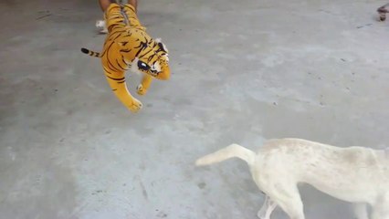 Fabulous!! Fake tiger is out in front of a running dog. The joke is very funny
