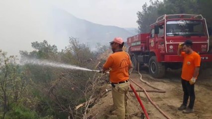 Çıkan orman yangınına müdahale ediliyor
