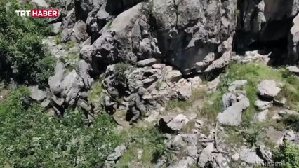 MSB: Teröristleri inlerinde basmaya devam ediyoruz