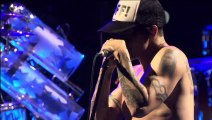 Dani California - Red Hot Chilli Peppers (live)