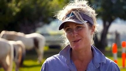 Program uses horses to help with learning difficulties