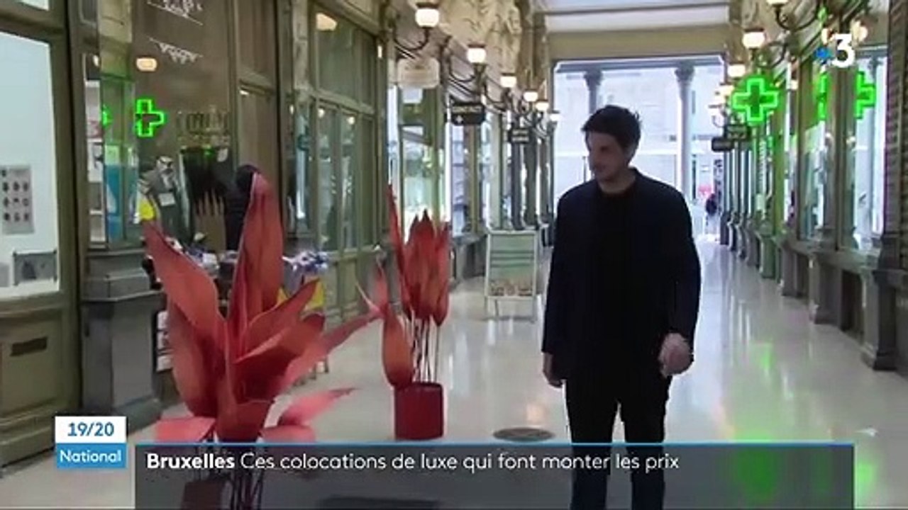 Immobilier : les colocations de luxe se multiplient en Belgique