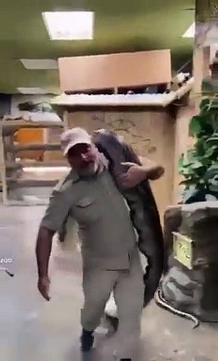 See how snakes trap people