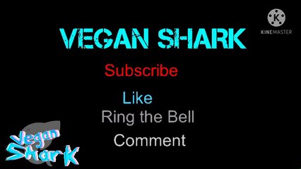 Chowder Bumper- Cartoon Network France