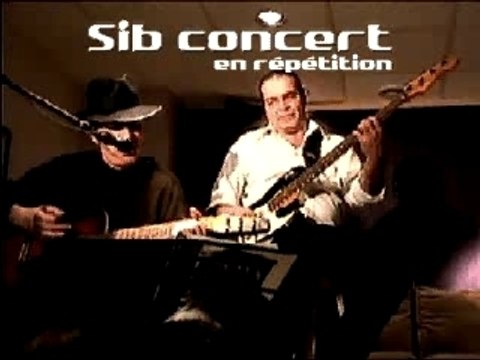 Tuesday afternoon Moody Blues interprété par Sib concert