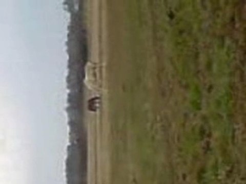 CASTING et les autres chevaux