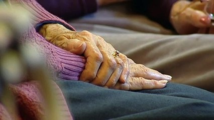 Government plans to unveil its 2021 budget on Tuesday