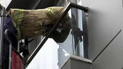 AVCILAR'DA CAM BALKONDA MAHSUR KALAN GÜVERCİNE BALTALI KURTARMA