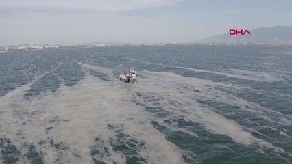 İzmit Körfezi'nden 100 ton deniz salyası toplandı