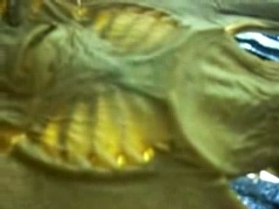 Alien_Mummy_creature_ufo_Ovnis_Extraterrestre_Scary