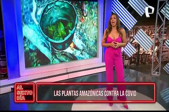 Desde la Selva | Estas son las plantas amazónicas que pueden ayudar contra la COVID-19