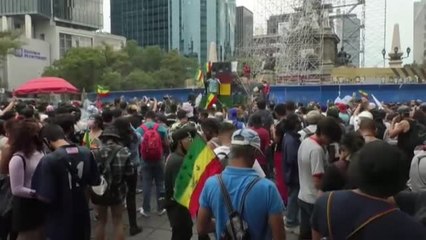 Download Video: Multitudinaria manifestación en México por la flexibilización de las restricciones al consumo de marihuana