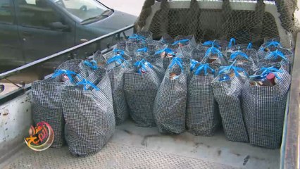 سفراء الخير.. مبادرة شبابية تونسية لمساعدة سكان الريف