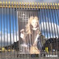 Peintre de Louis XIV, businessman… Découvrez l’expo Rigaud en vidéo