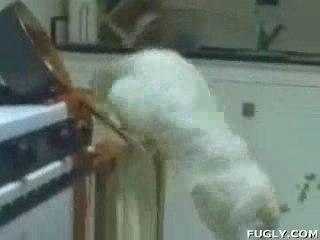 Video_videozik-com_18736_a-vous-de-juger