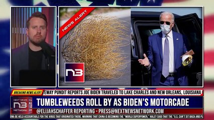 Live: Latest News Headlines And Events L Abc News Live