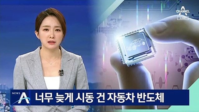 너무 늦게 시동 건 자동차 반도체…정부 ‘뒷북’ 대책 논란