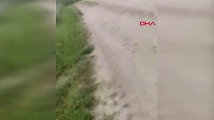 BİSİKLET KULLANIRKEN YILAN SALDIRISINA UĞRADI