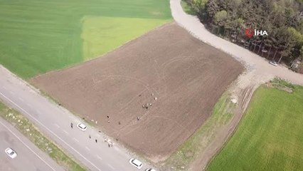 Atakum Belediyesi'nden sağlığa, turizme, ekonomiye lavanta katkısı