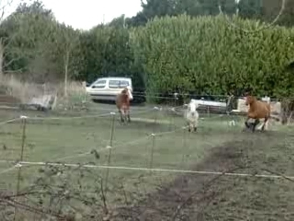 MOV04515