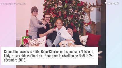 Céline Dion maman comblée : rare photo avec ses trois fils, pour une journée spéciale