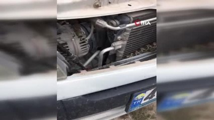 Otomobile giren yılanı itfaiye çıkarttı