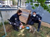 Son dakika haberleri: - Polis memurları devriye sırasında buldukları yavru köpeği sahiplendiler