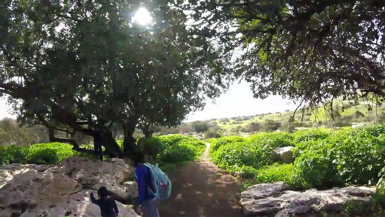 חורבת בורגין