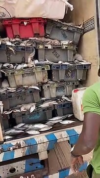 Keur-Ayip : La douane effectue une saisie record de plusieurs tonnes de médicaments d'une valeur de 1,5 milliard FCfa