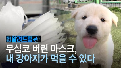 [알려드림] 마스크 때문에 강아지 숨졌다…버릴 땐 꼭 이렇게