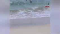 Havai'de denize giren çocuk köpek balığından böyle kaçtı